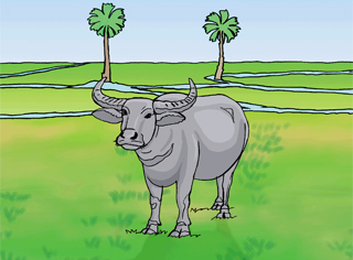 �������͡�к��