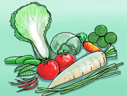 �ת-�ѡ��ҧ�