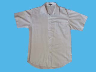 �����ᢹ���